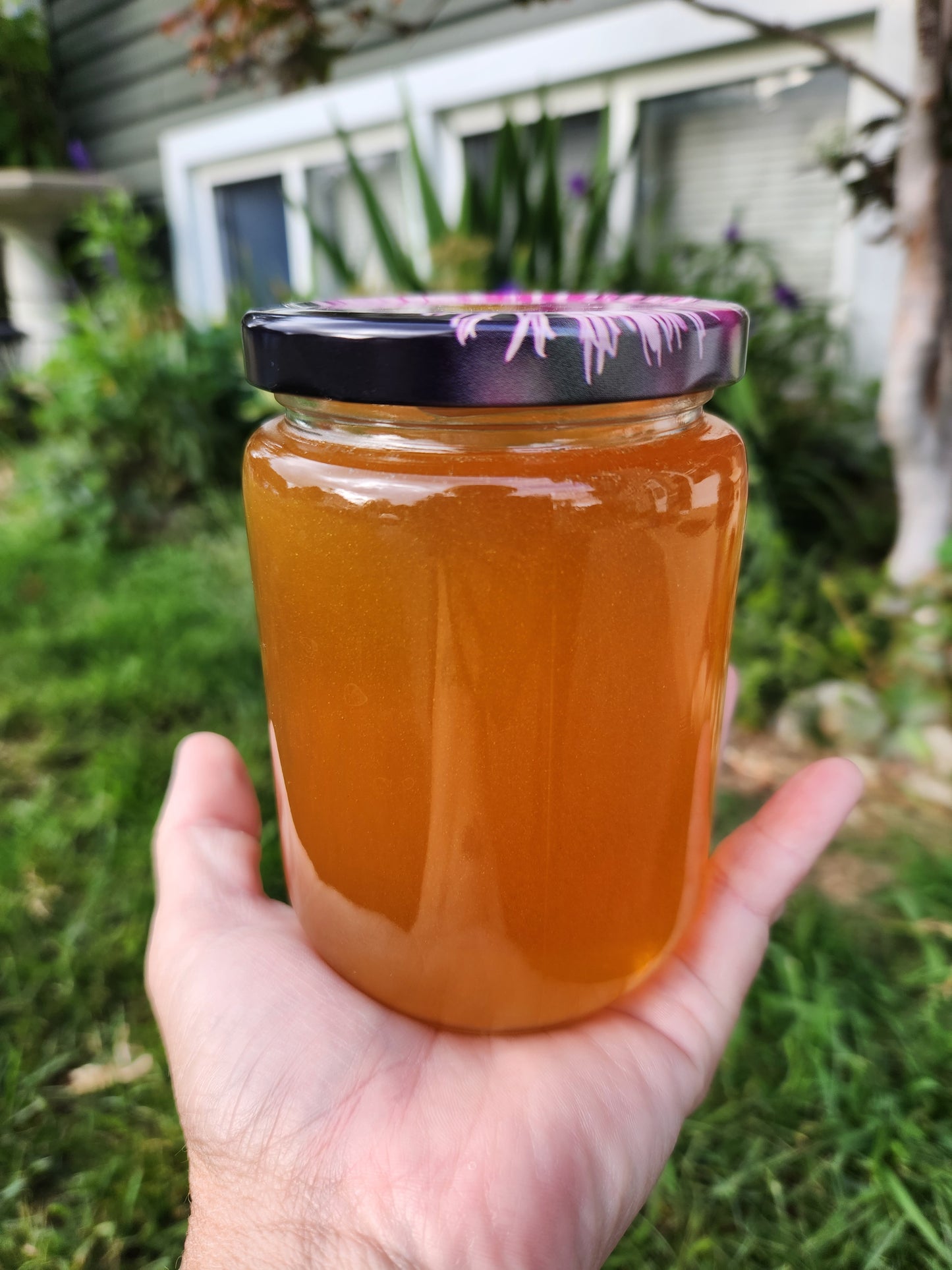 Raw Honey - 500g (PREORDER FOR 2025)