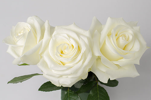 Valentines Day Bouquet Preorders - Flowergram