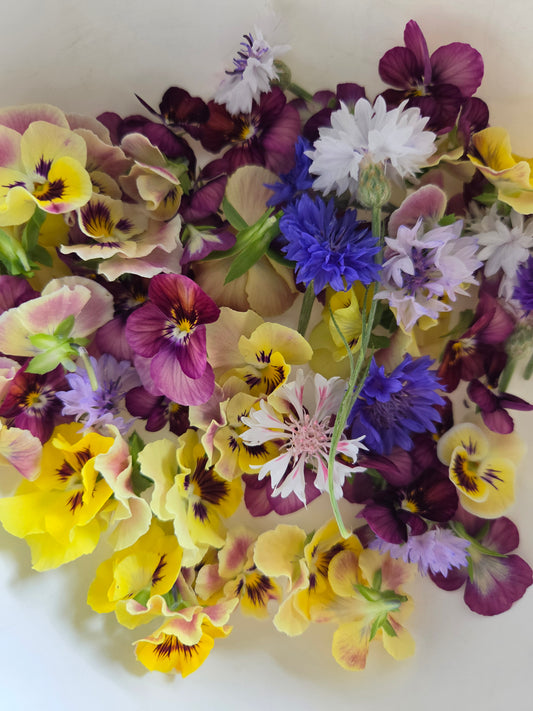 Edible Flower Mix