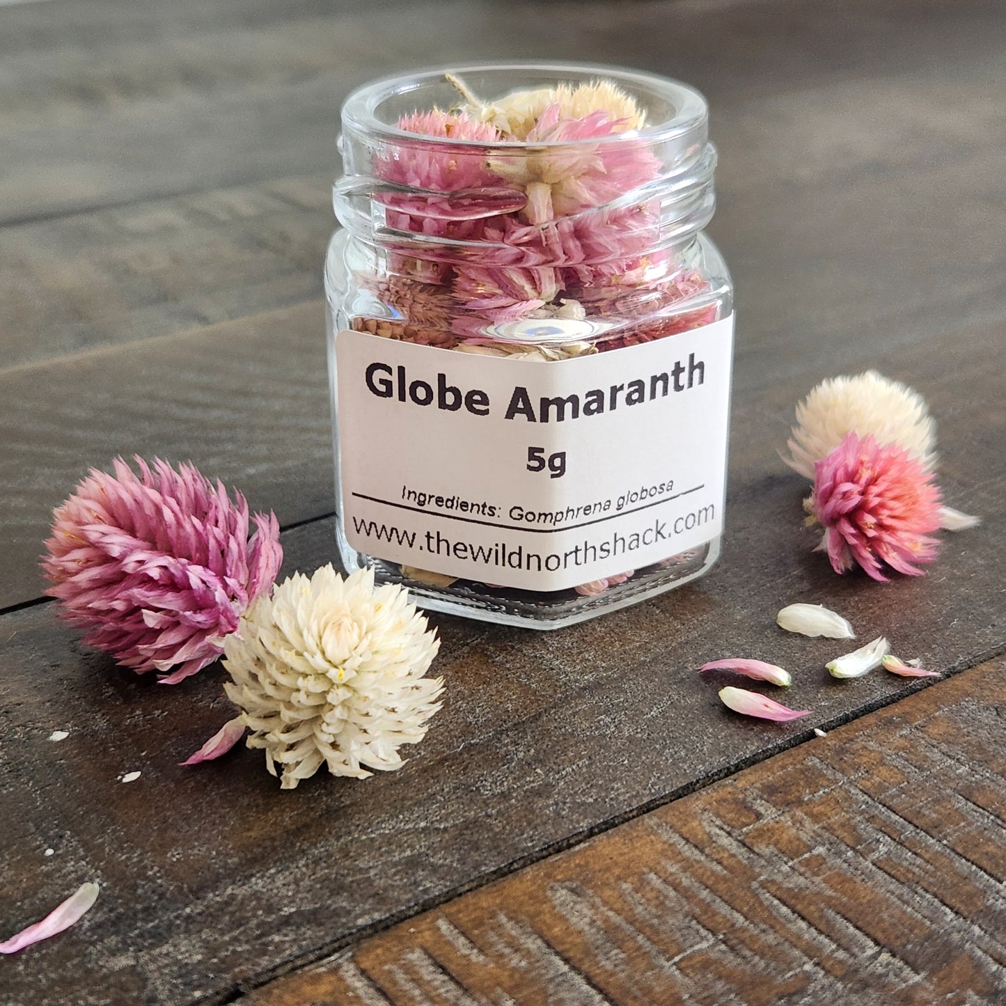 Culinary Dried Flowers - Globe Amaranth