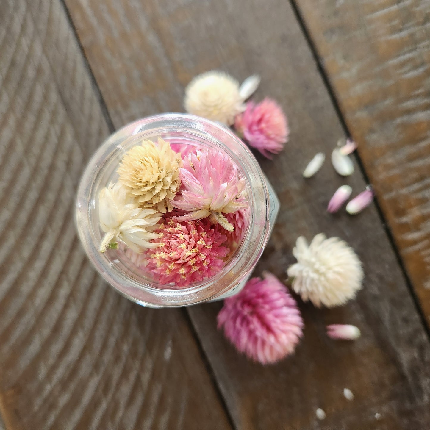 Culinary Dried Flowers - Globe Amaranth