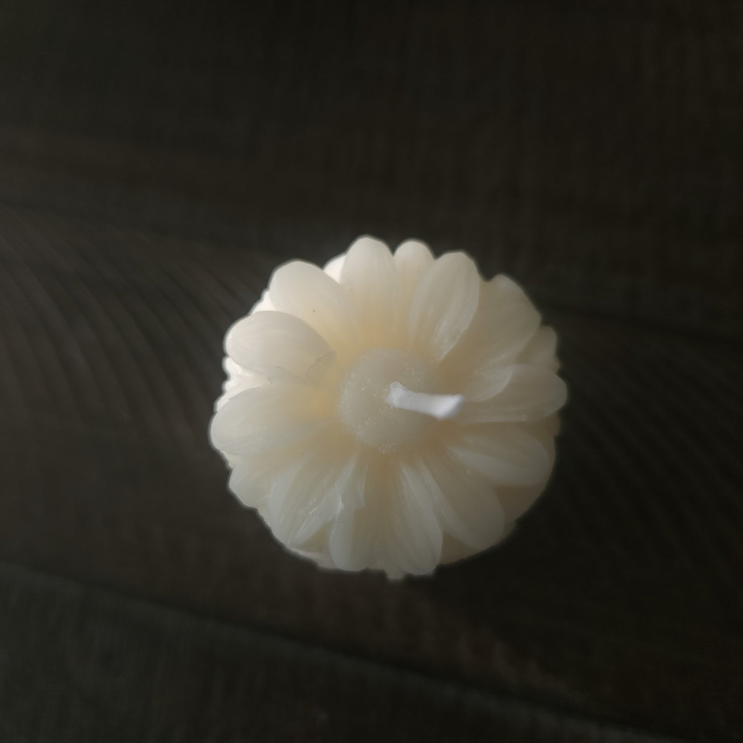 White Beeswax Candle - Daisy