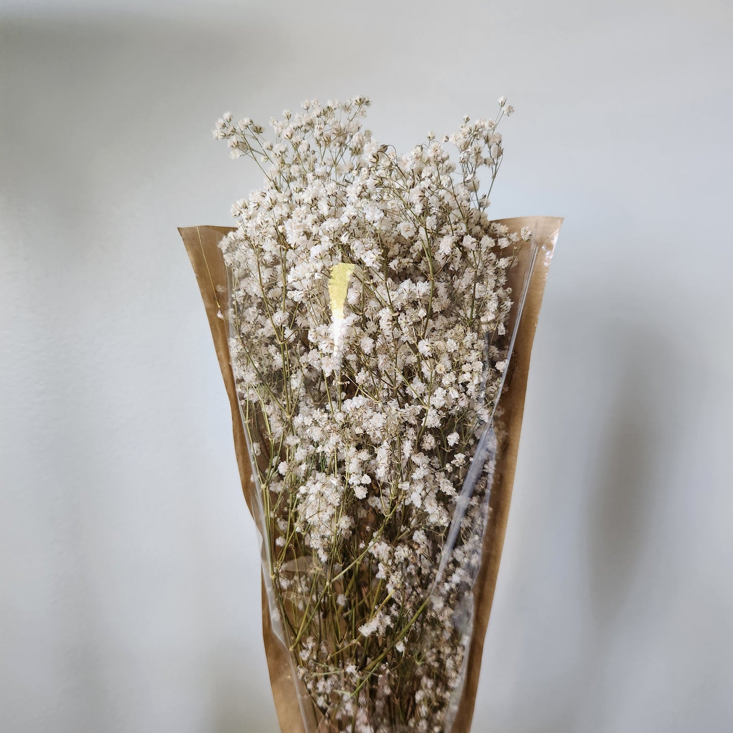 Baby Breath Bunch