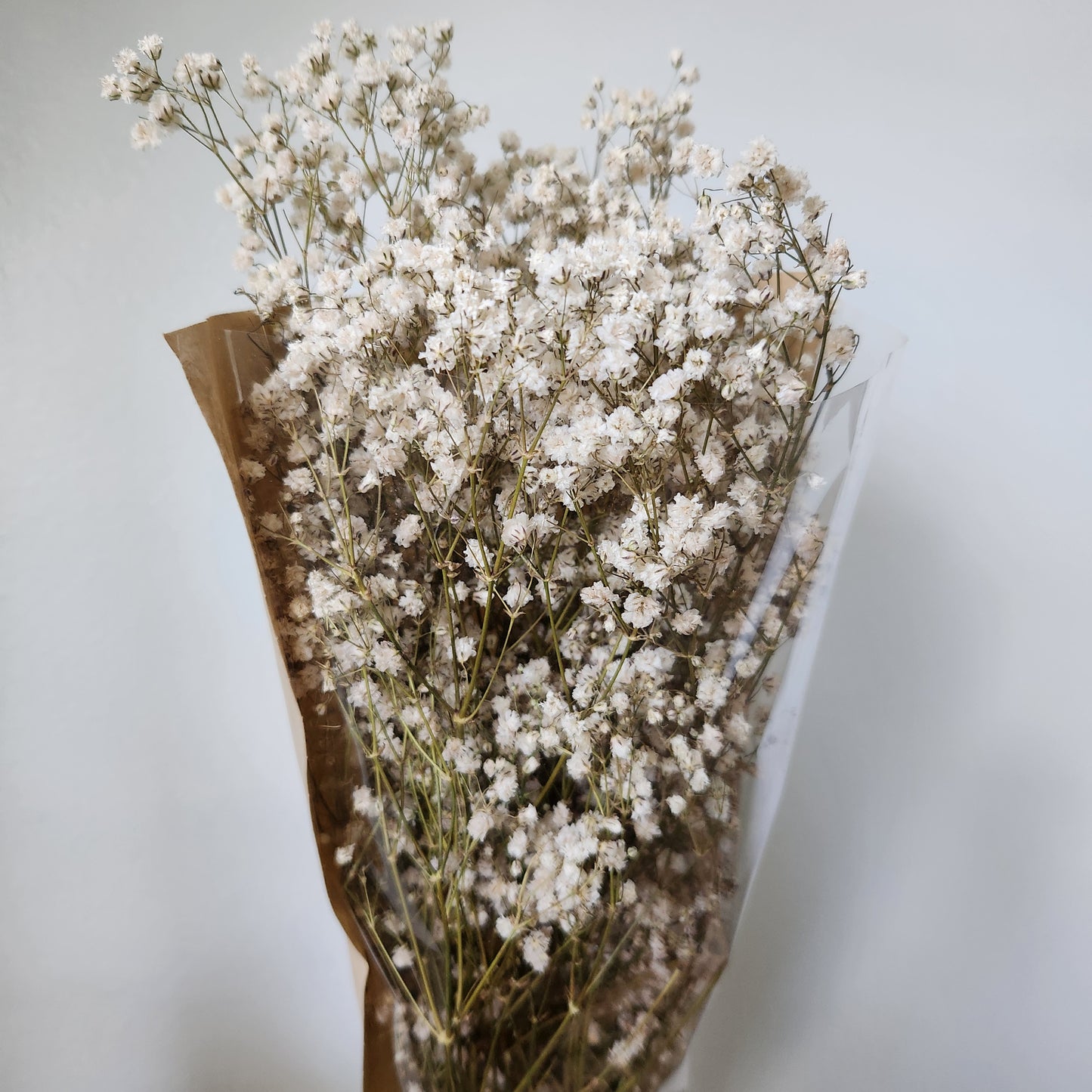 Baby Breath Bunch