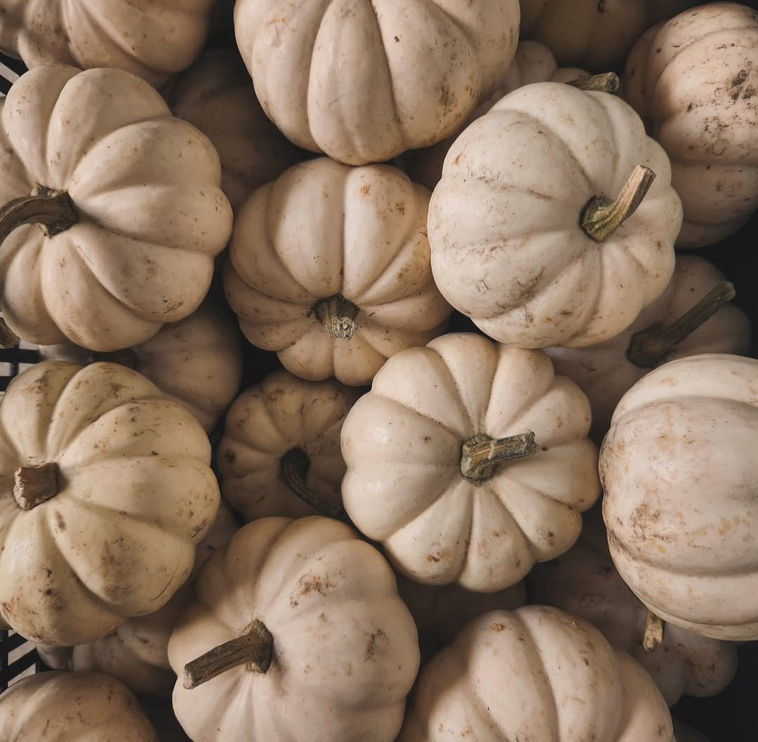 Mini White Decor Pumpkin
