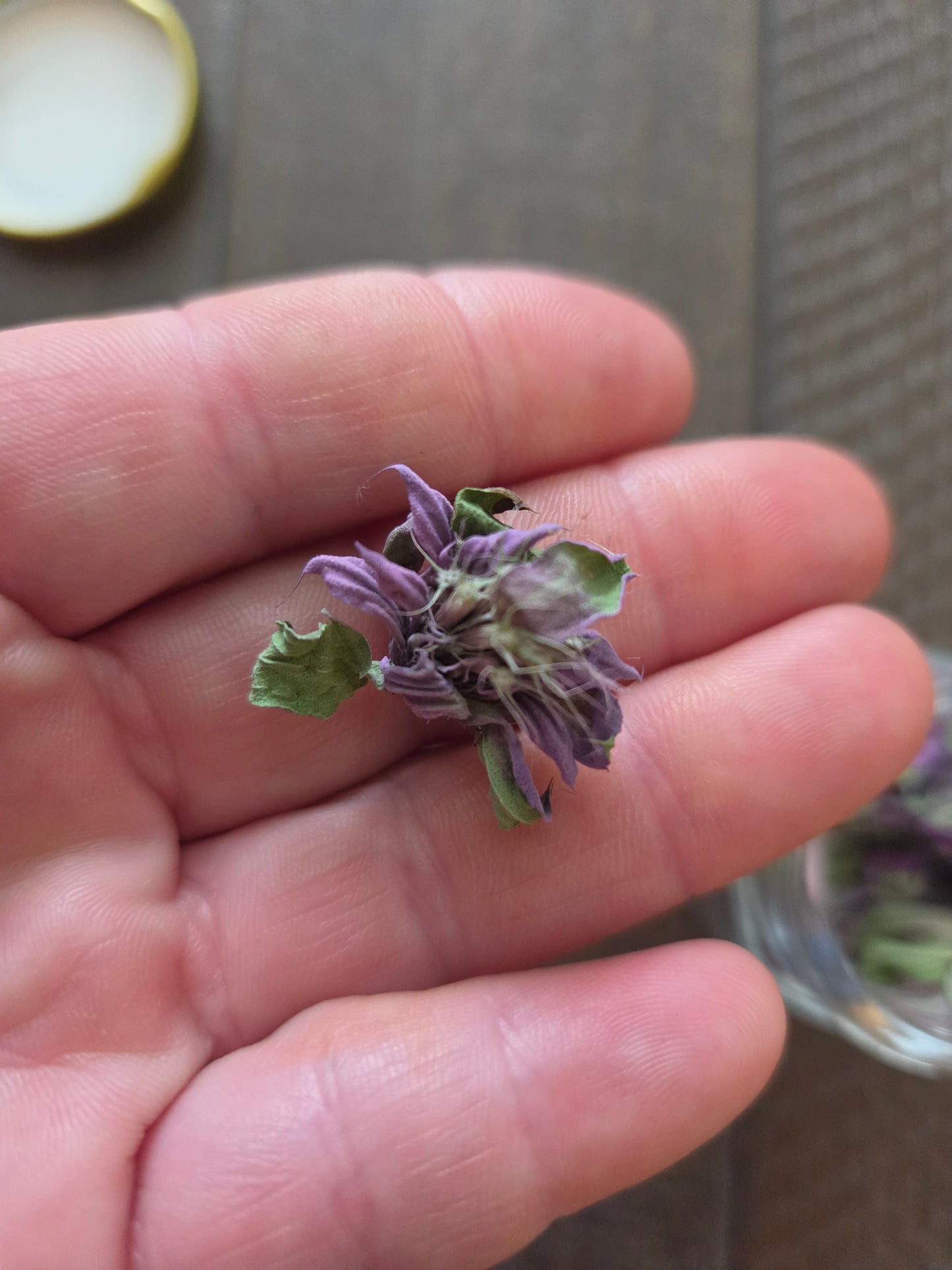 Lemon Bergamont - Loose Leaf Herbal Tea (50 grams)