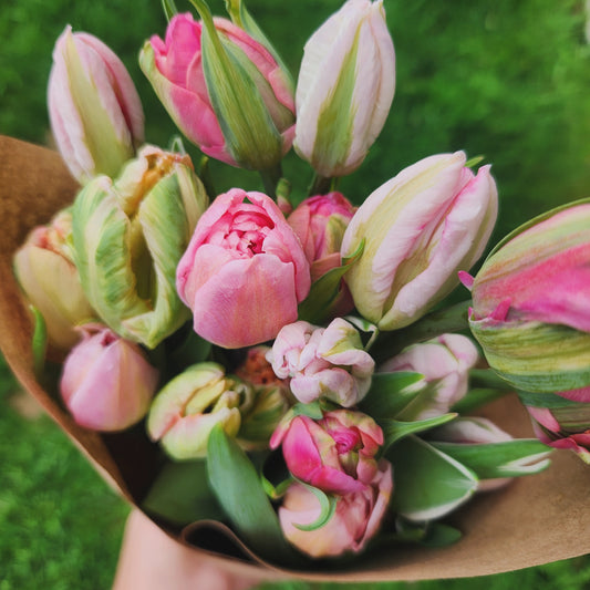 Totally Tulips CSA Flower Subscription 2026