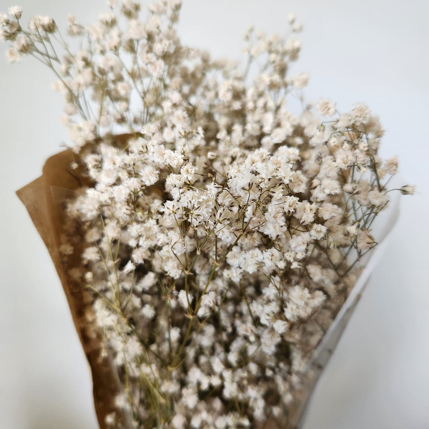 Baby Breath Bunch