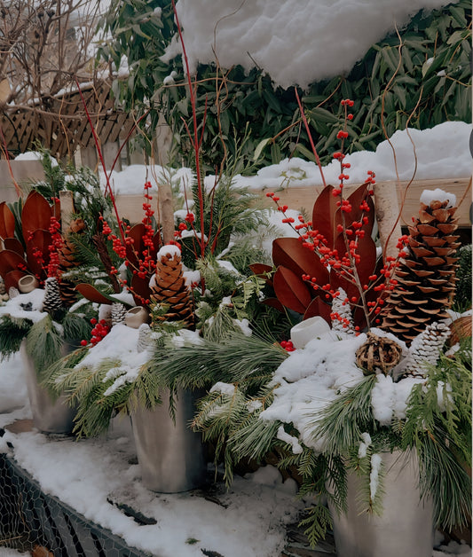 Christmas Planter Decoration and Installation Service - Simple & Natural