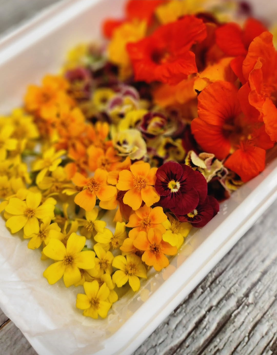 Wholesale Edible Flower Order