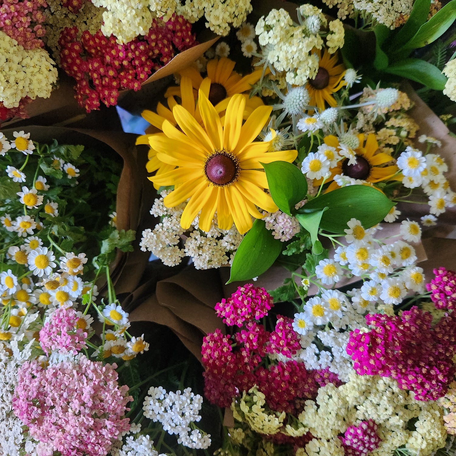 2026 CSA Flower Subscriptions