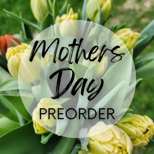 Mothers Day Preorder Specialty Tulips
