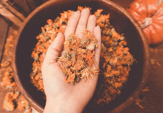 Whipped Body Tallow - Citrus