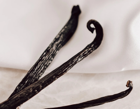 Whipped Body Tallow - Honey Vanilla Bean