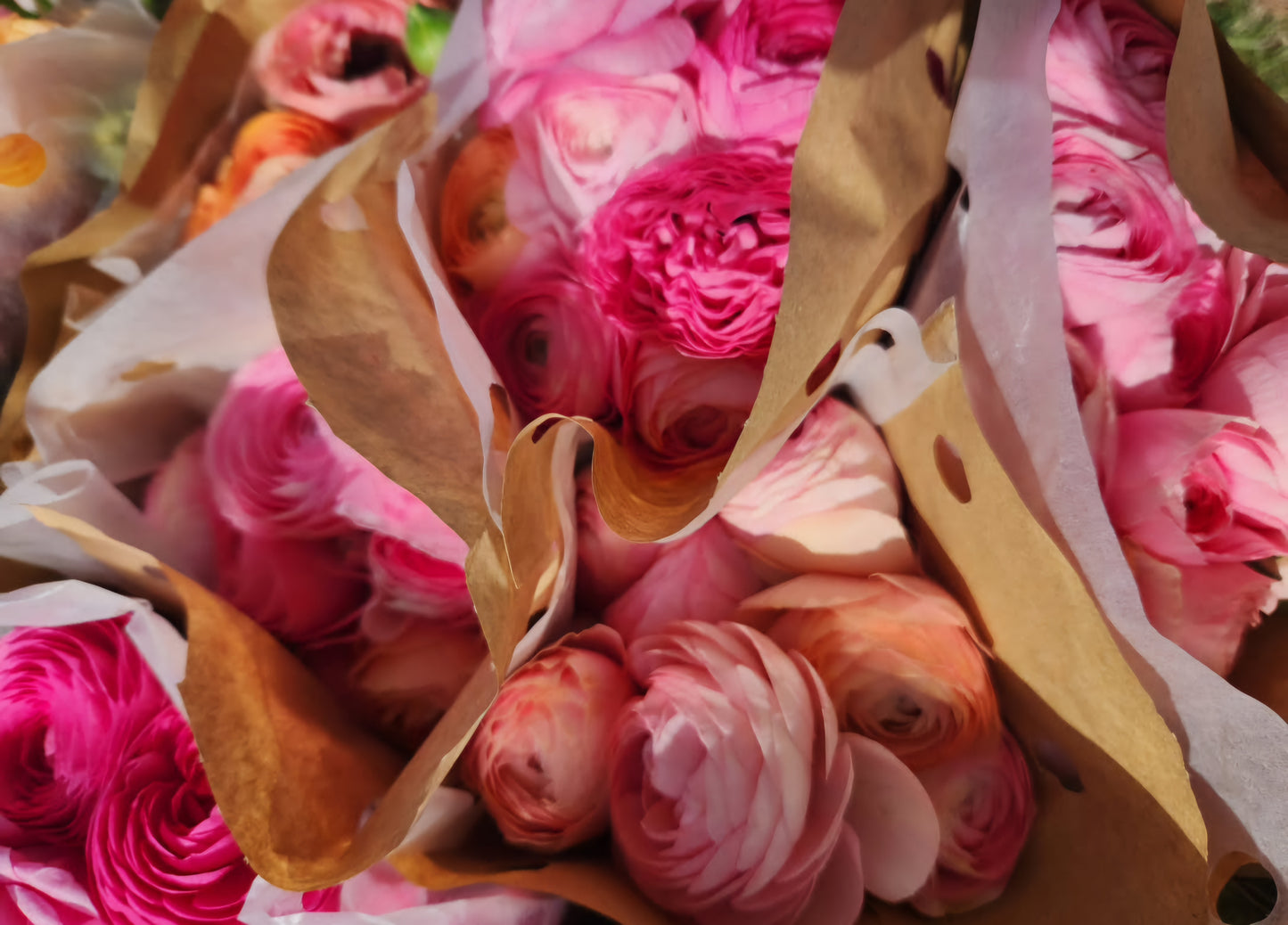 2025 Ranunculus CSA Spring Subscription
