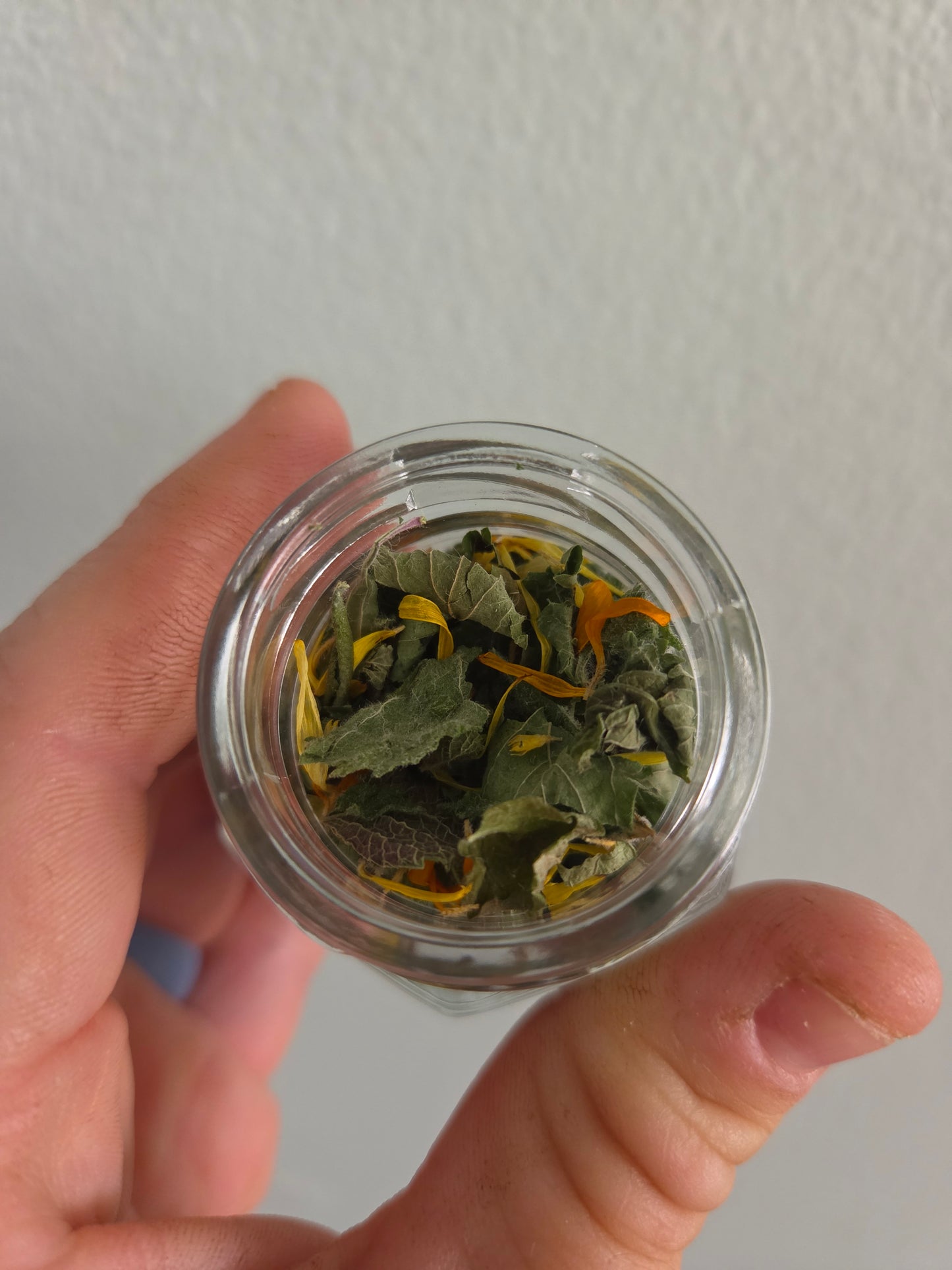 The Duke's Garden - Loose Leaf Tea (50 grams)