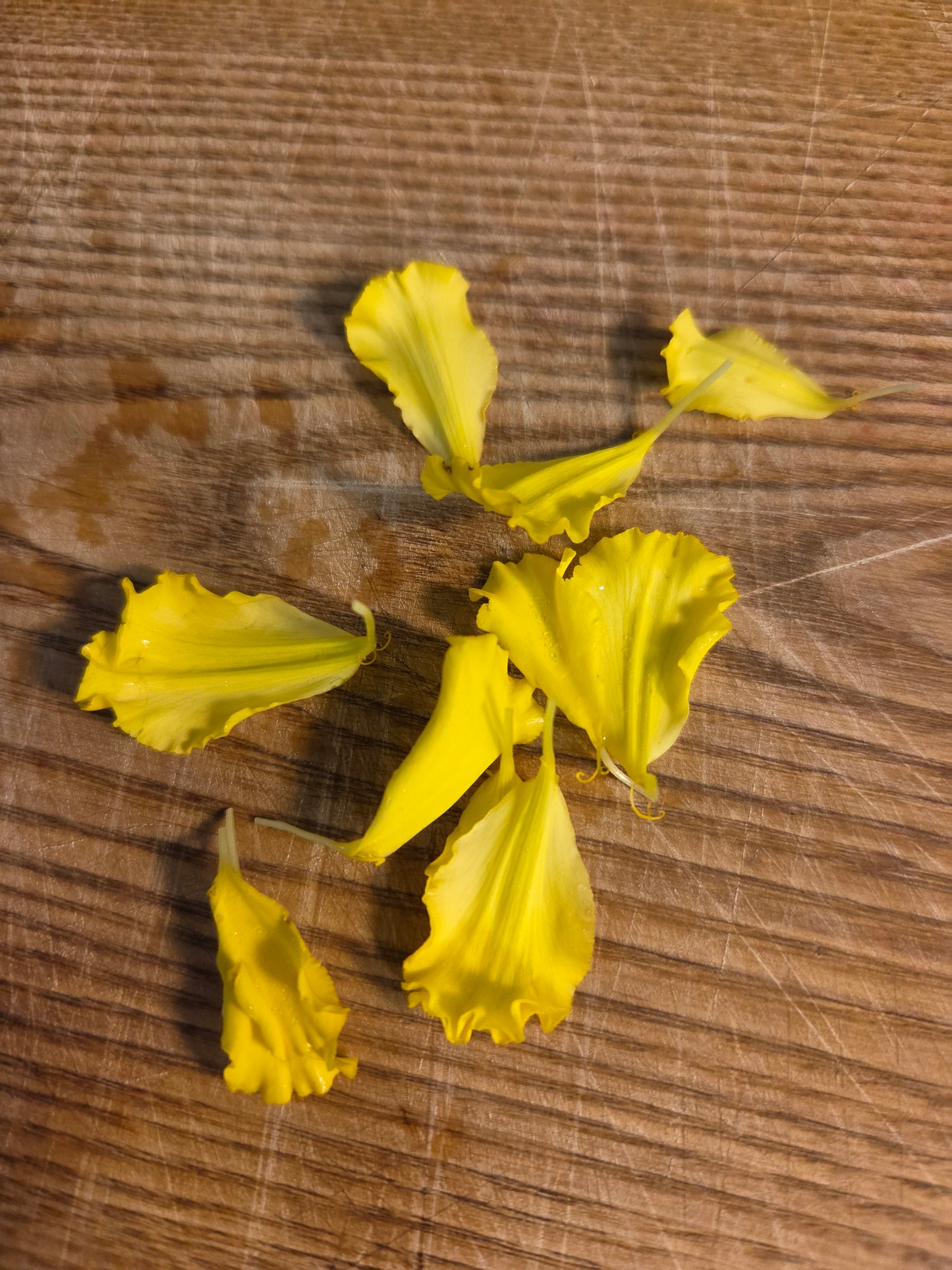 Edible Flowers - Marigold Mix