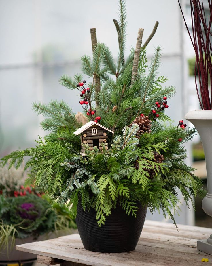 Christmas Planter Decoration and Installation Service - Simple & Natural