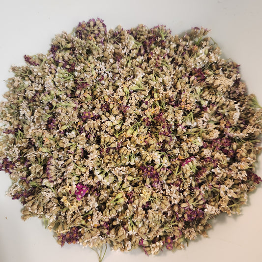 Culinary Dried Yarrow