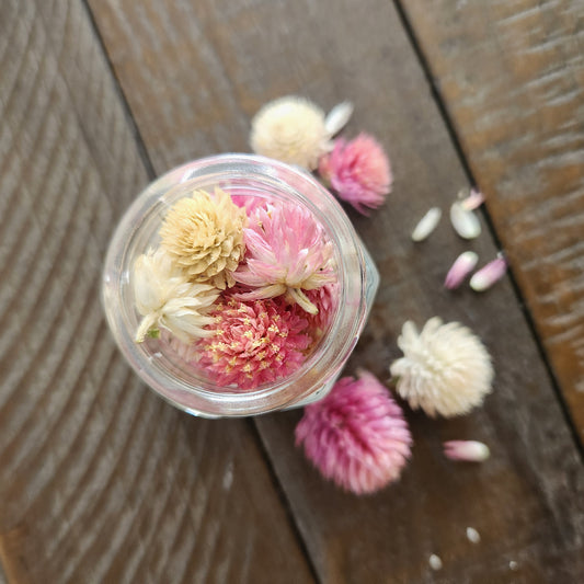 Culinary Dried Flowers - Globe Amaranth