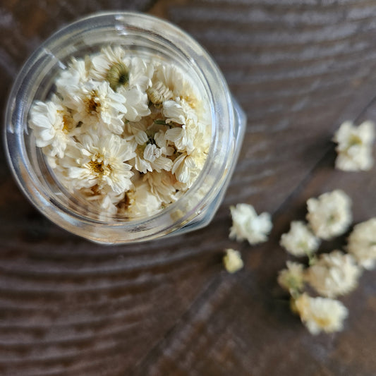 Culinary Feverfew