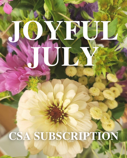 Joyful July Bouquet Subscription 2026
