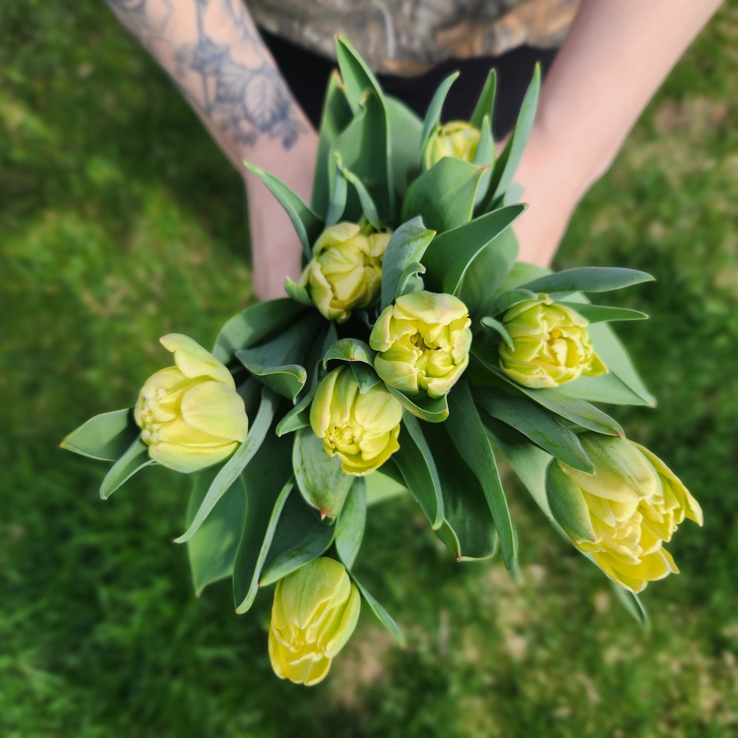 Totally Tulips CSA Flower Subscription 2026