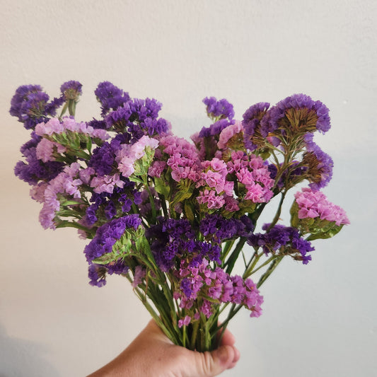 Dried Statice Bunch - Mixed Colours