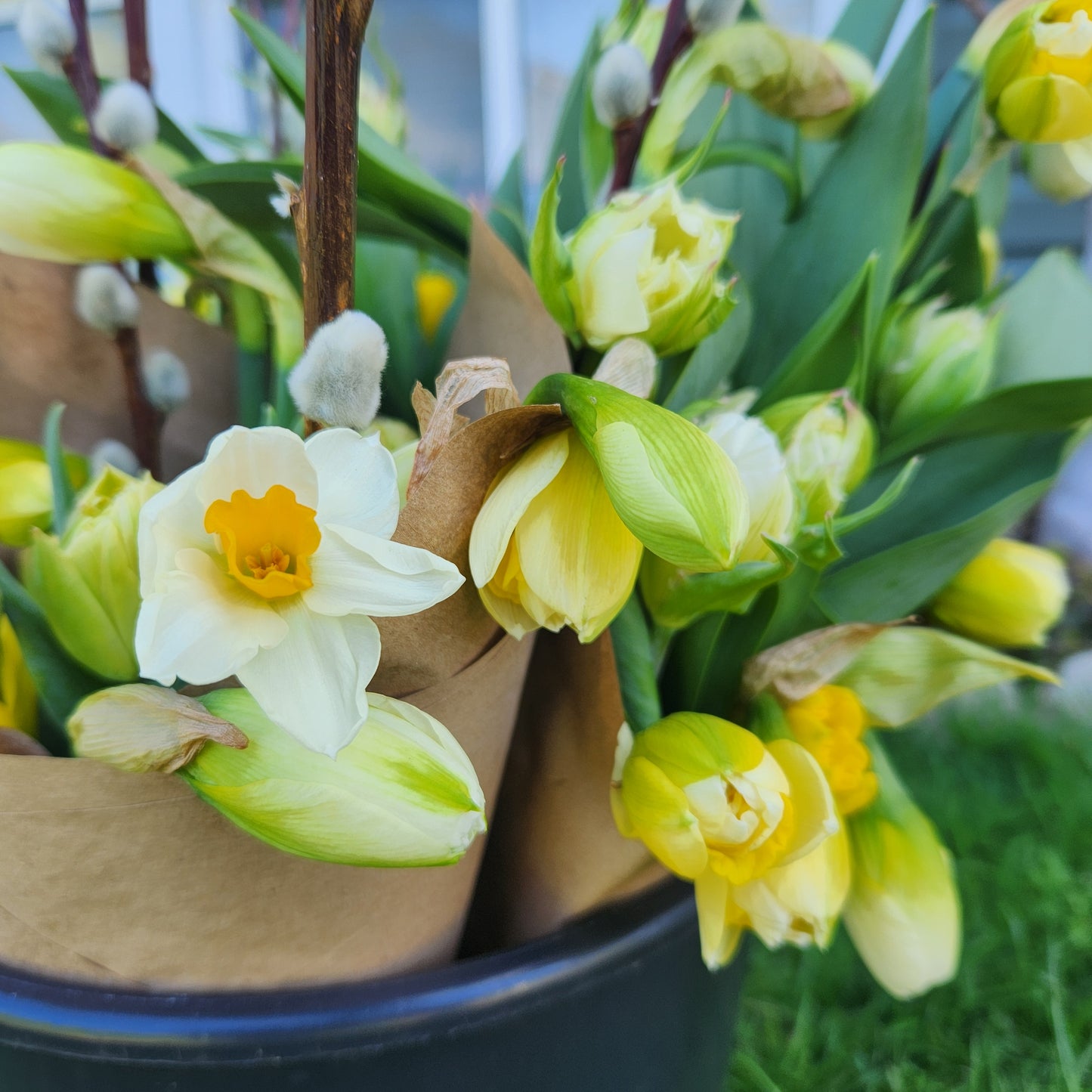 Doorstep Daffodil CSA Subscription 2026