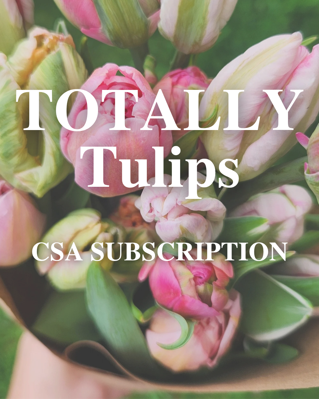 Totally Tulips CSA Flower Subscription 2026