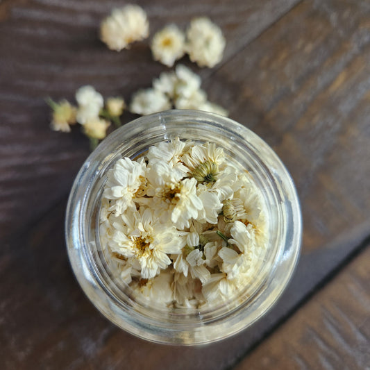 Culinary Feverfew