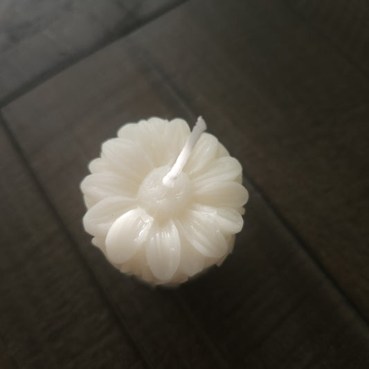 White Beeswax Candle - Daisy