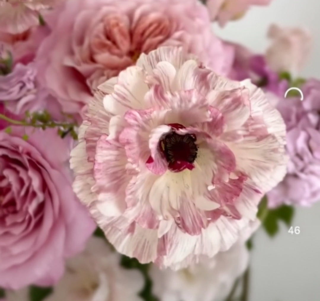 PREORDER - Mixed Ranunculus & Lisanthus Bouquets