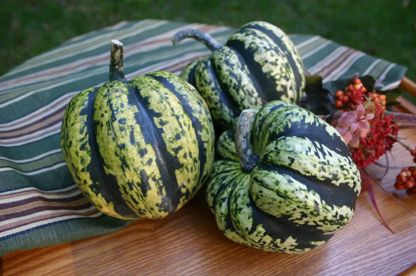 Winter Squash Heart of Gold