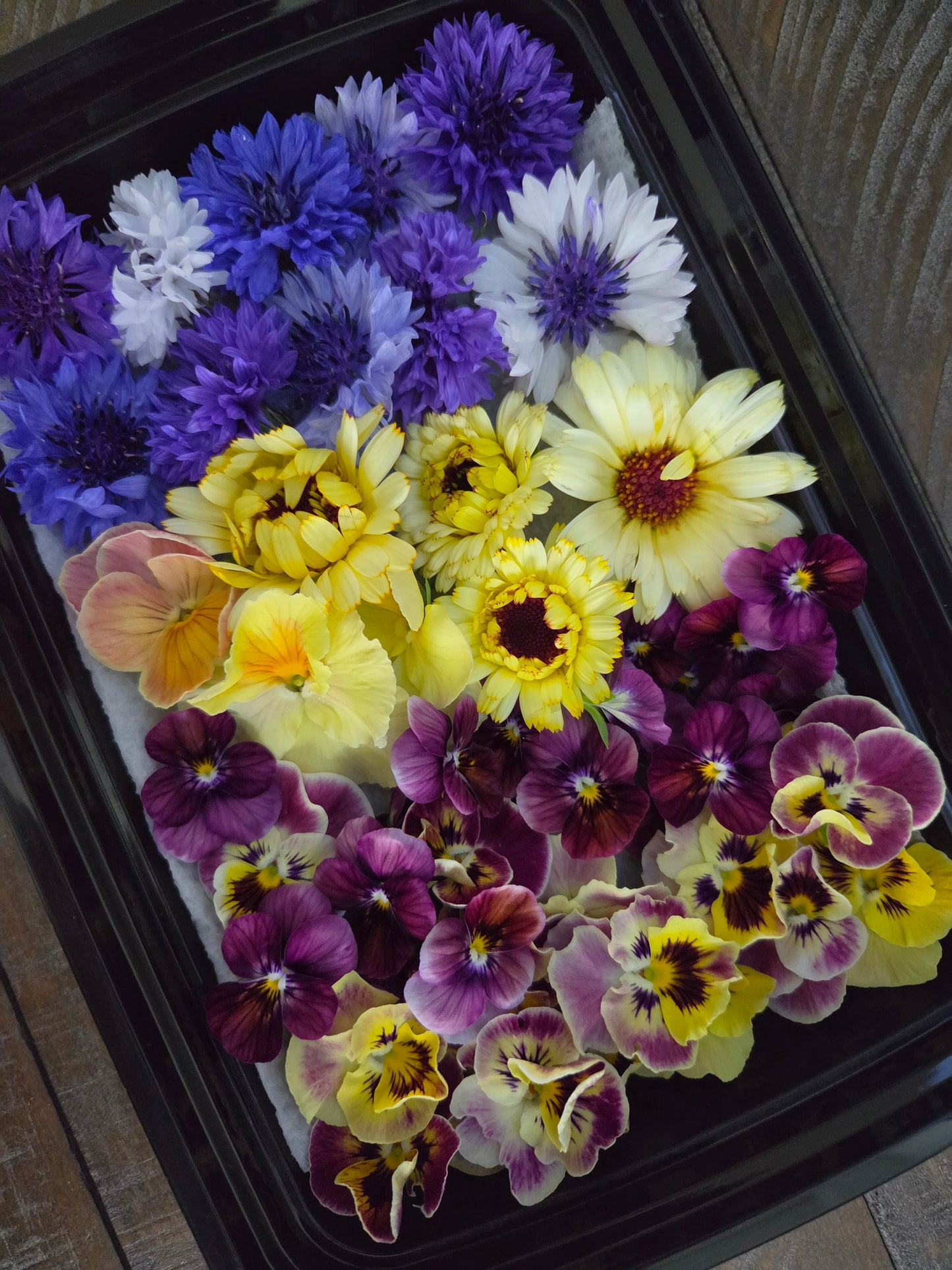 Edible Flower Mix
