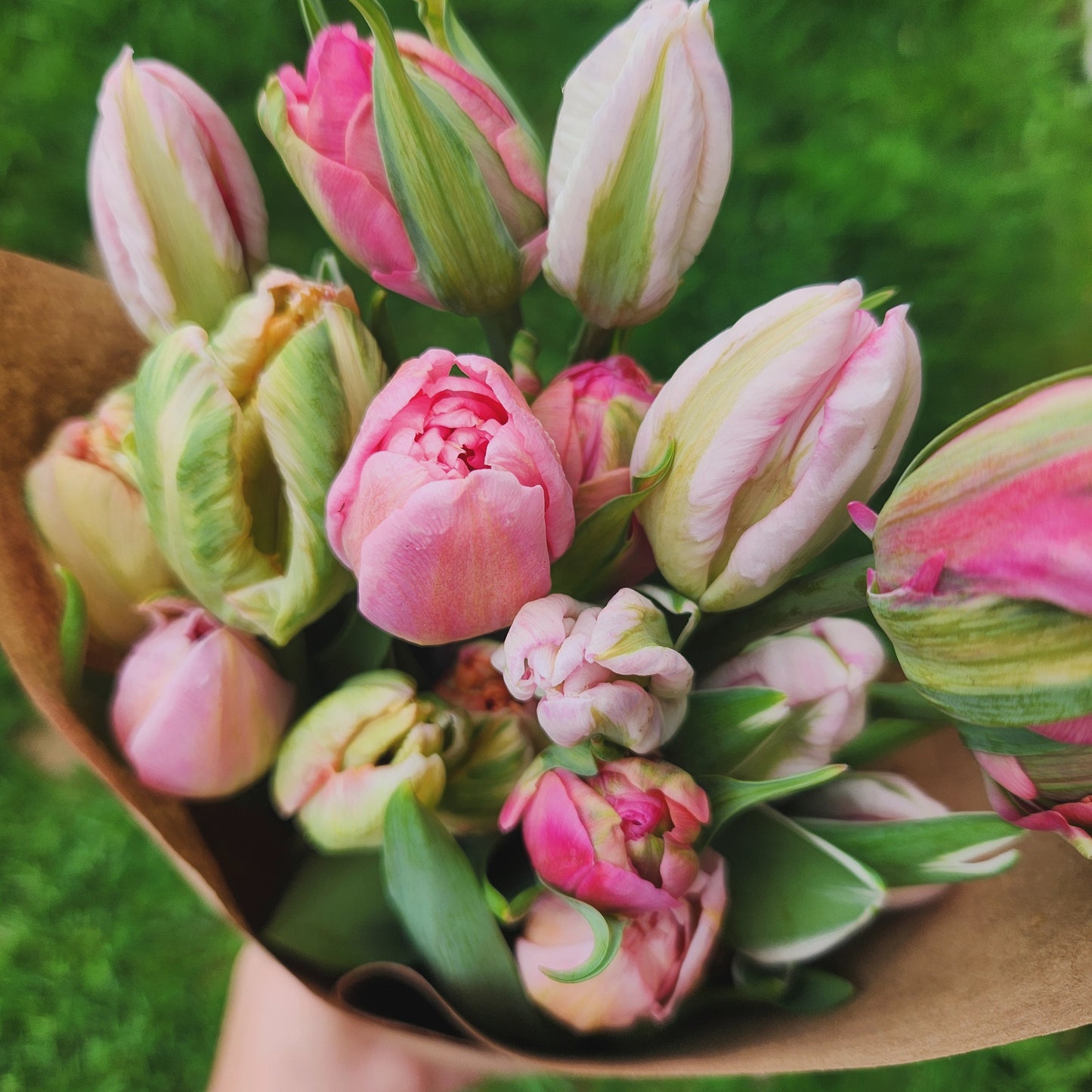 Totally Tulips CSA Flower Subscription 2026