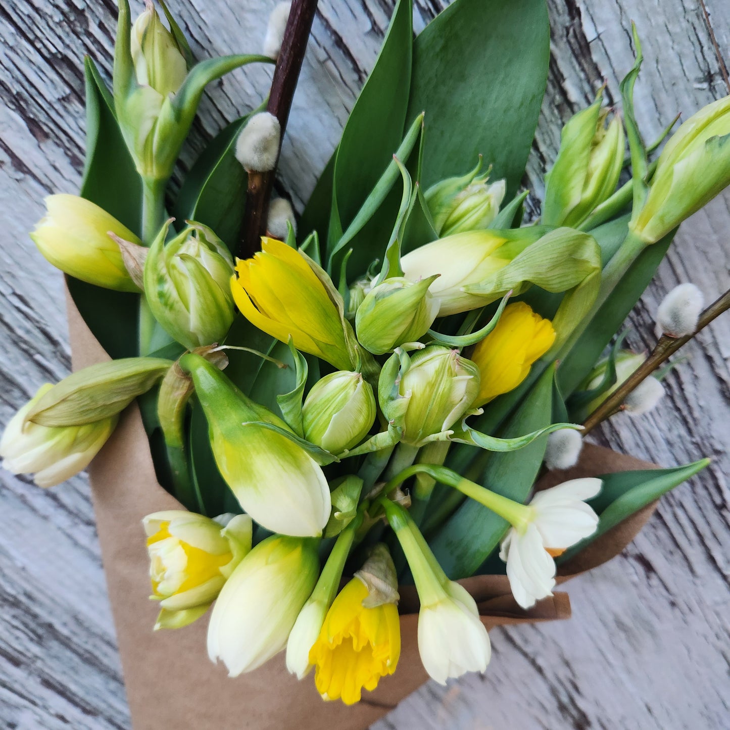 Doorstep Daffodil CSA Subscription 2026