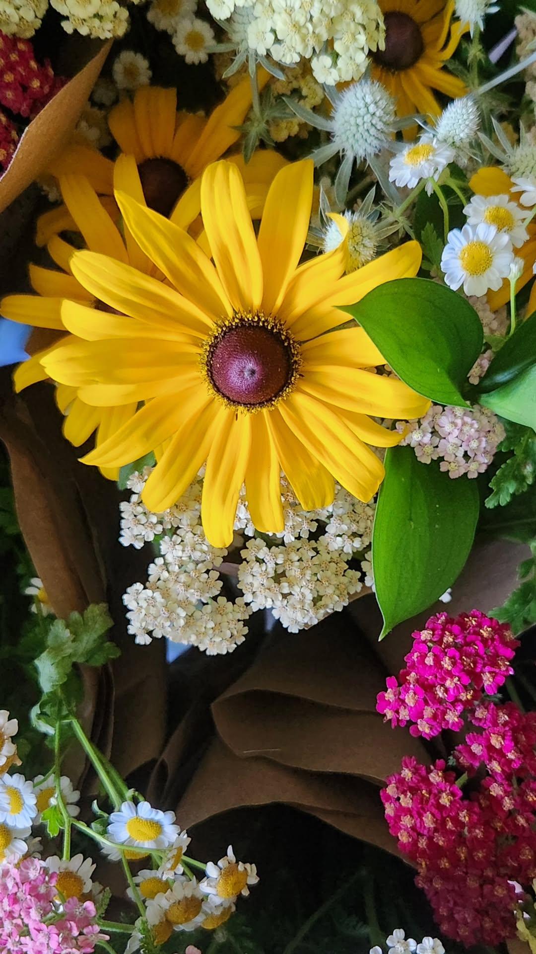 Monthly Summer 2026 CSA Subscription