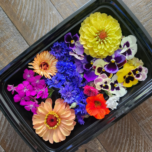 Mixed Edible Flower Container (25 pieces)