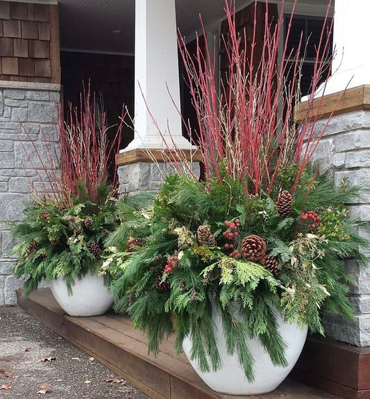 Christmas Planter Design & Installation - Matching Pair (2 planters)