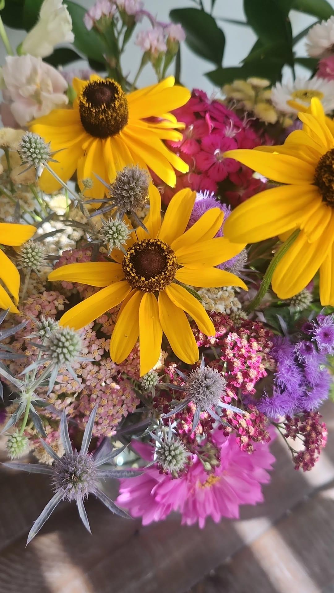 Monthly Summer 2026 CSA Subscription