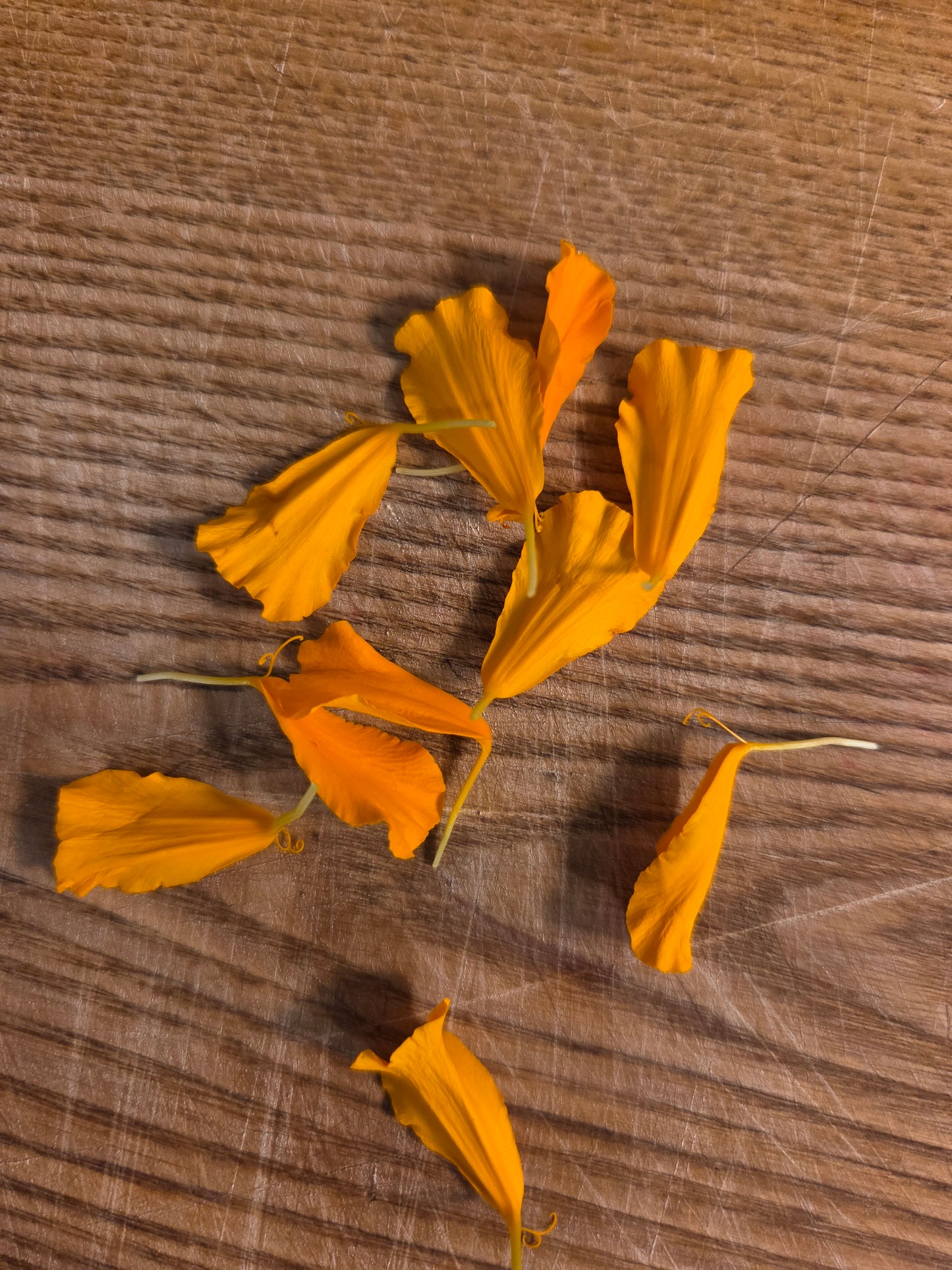 Edible Flowers - Marigold Mix